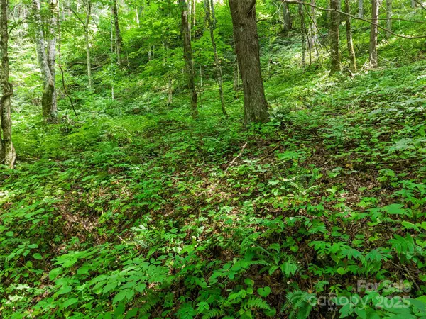 Burnsville, NC 28714,00 Old Sawmill RD