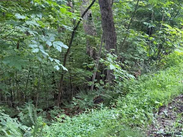 Burnsville, NC 28714,Lot 3 Heritage Ridge RD #3/4