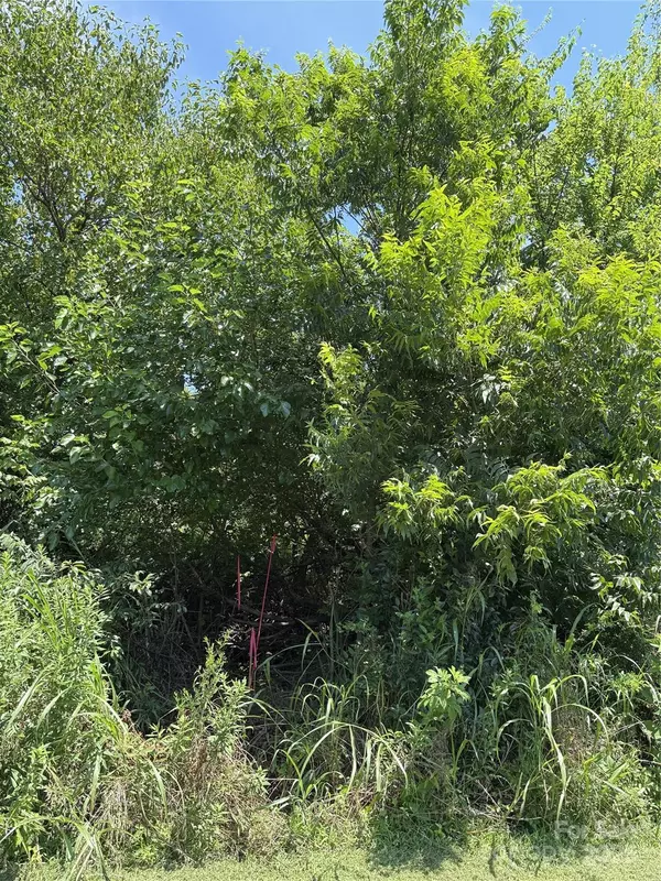 Chester, SC 29706,Lot 4 AND 5 W Elliot ST