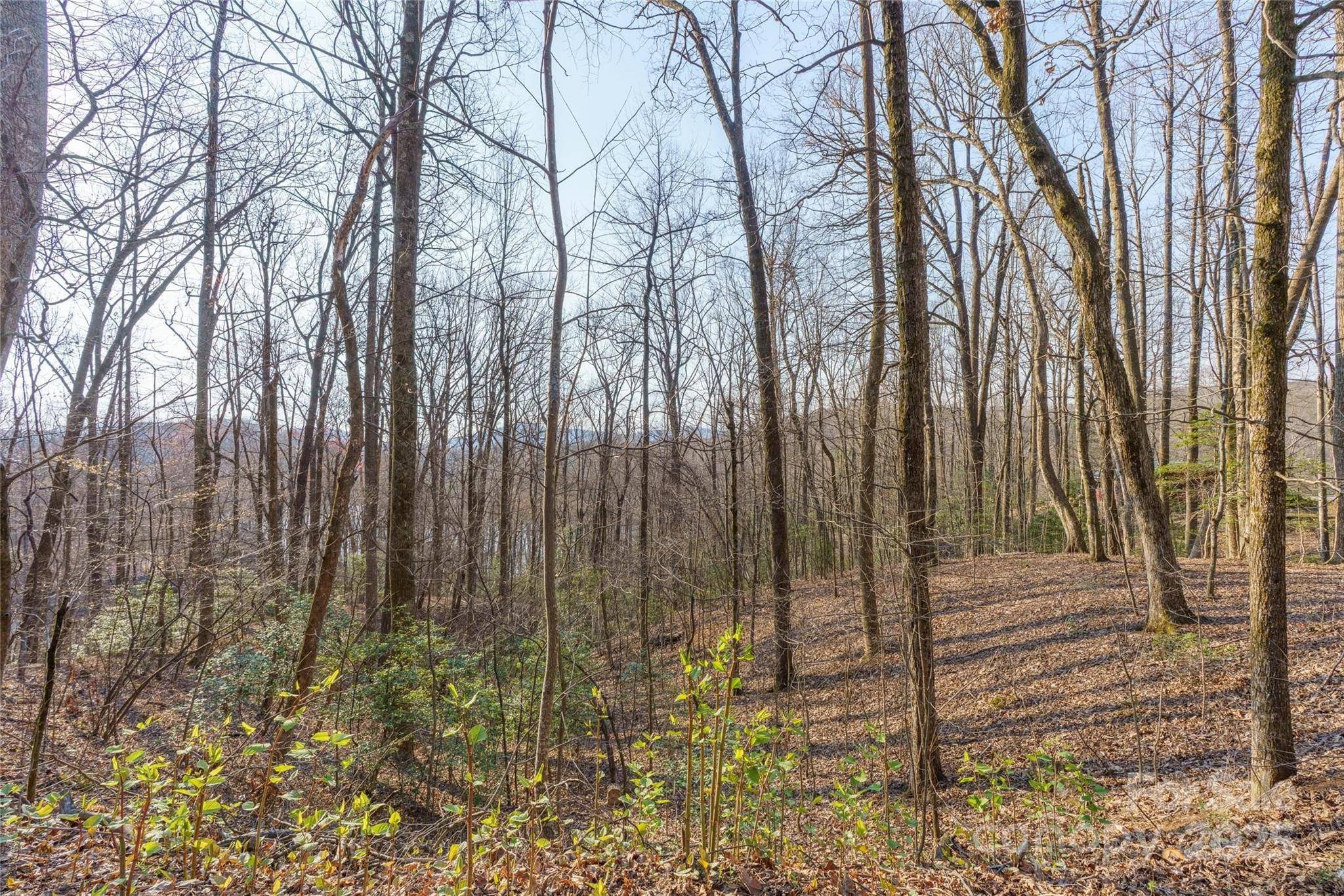 Saluda, NC 28773,TBD Tanglewood LN