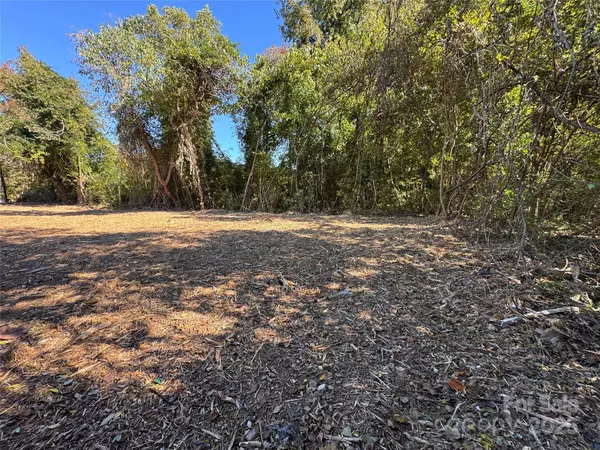 Charlotte, NC 28216,3017 Melita AVE