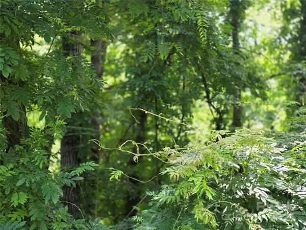 Mills River, NC 28759,99999 Laurel DR