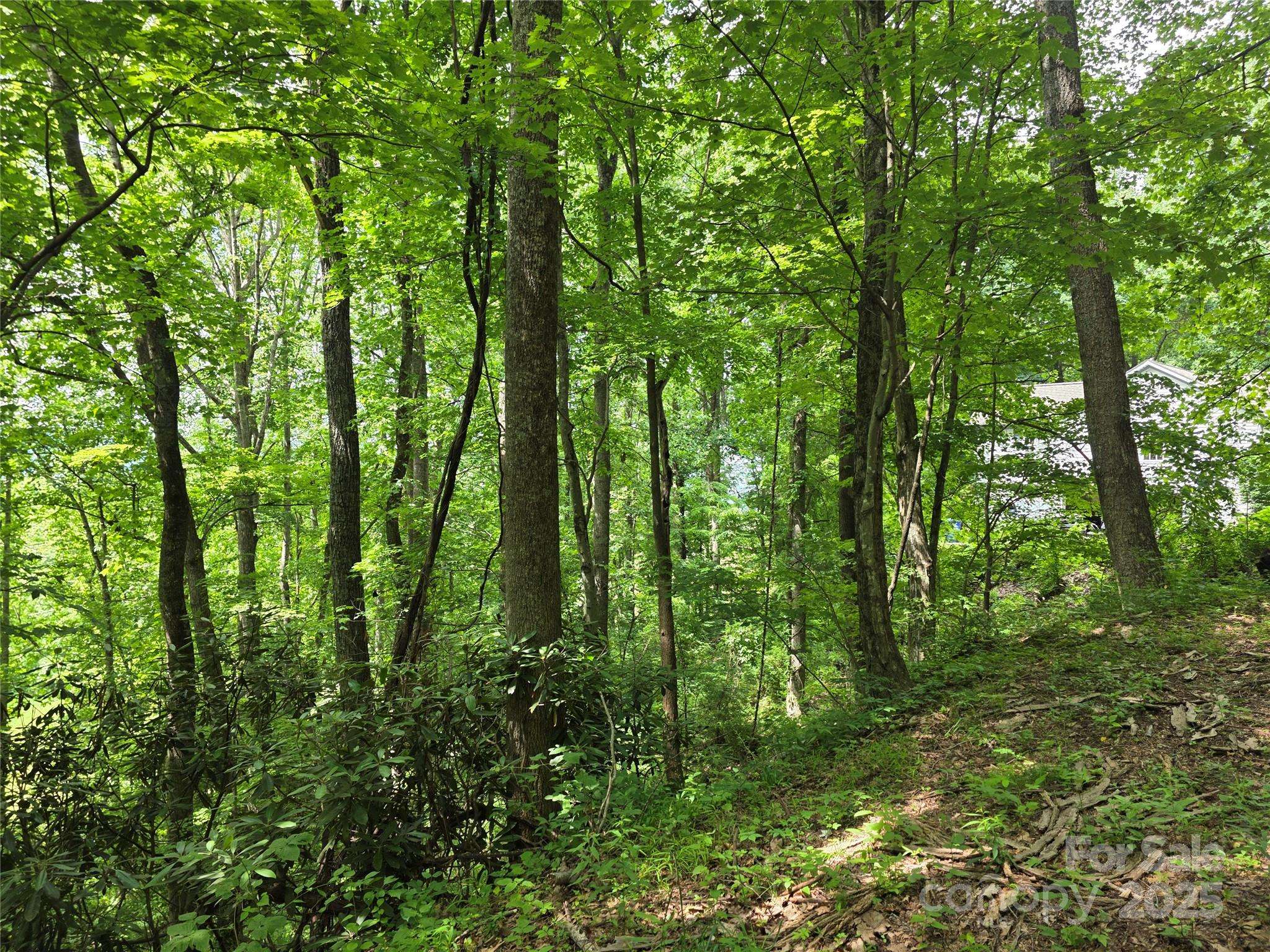 Mills River, NC 28759,99999 Red Oak DR