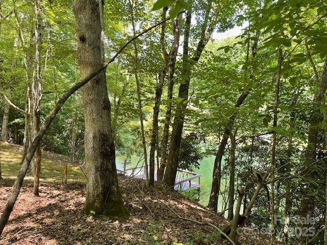 Brevard, NC 28712,Unit 30/L74 Uyasga CT #74/30