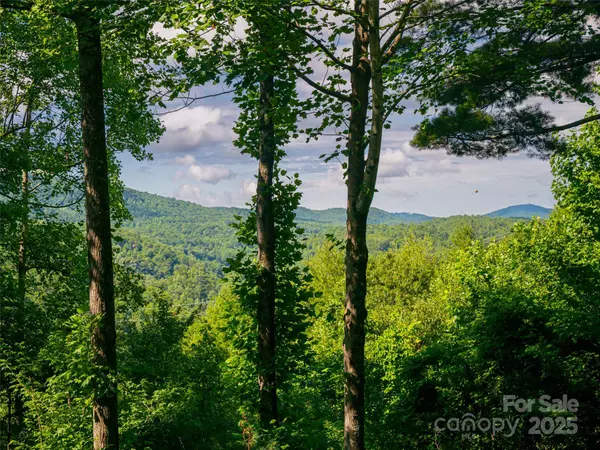 Saluda, NC 28773,935 Whites Lake BLVD