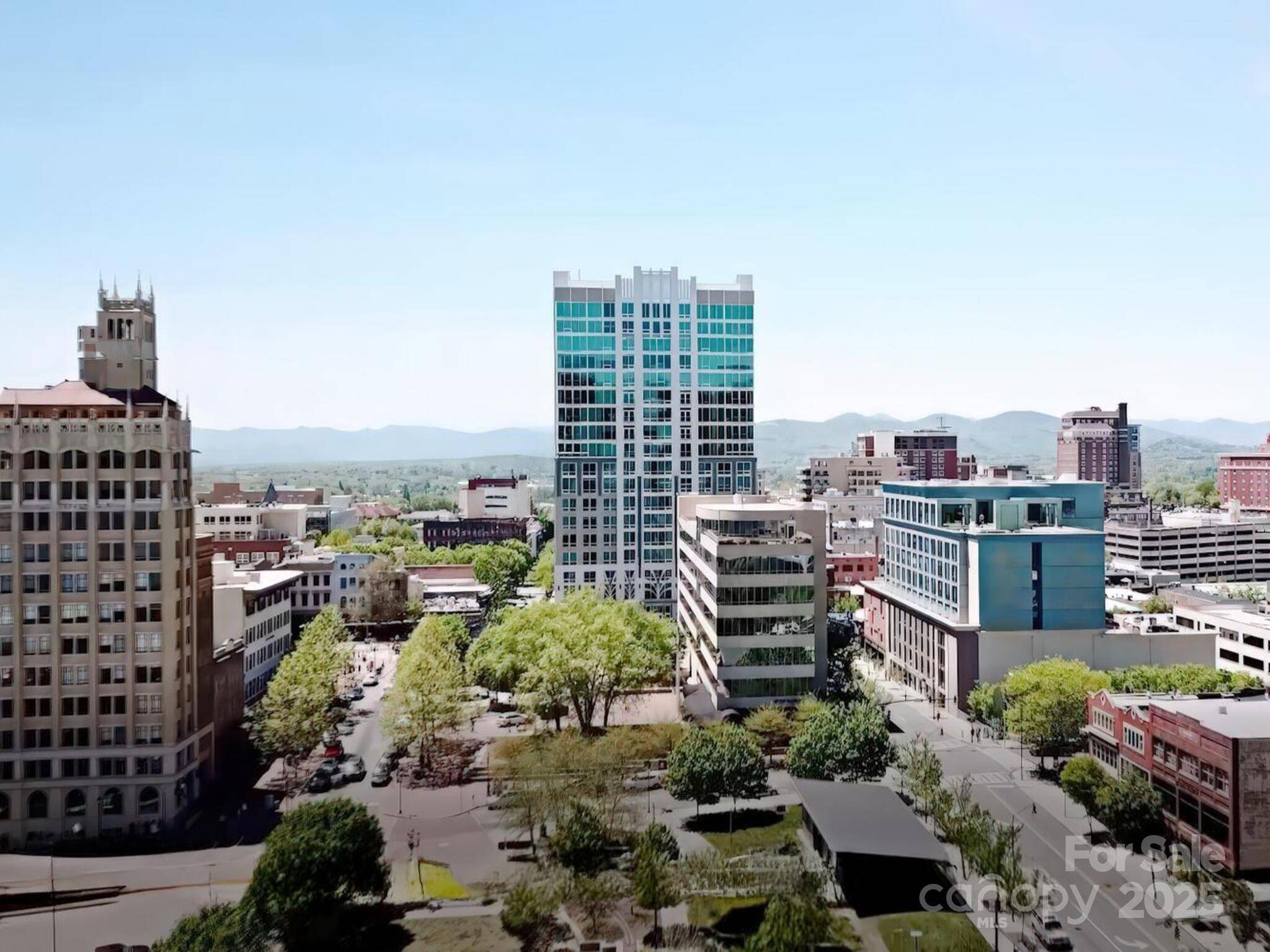 7 Patton AVE #1103, Asheville, NC 28801