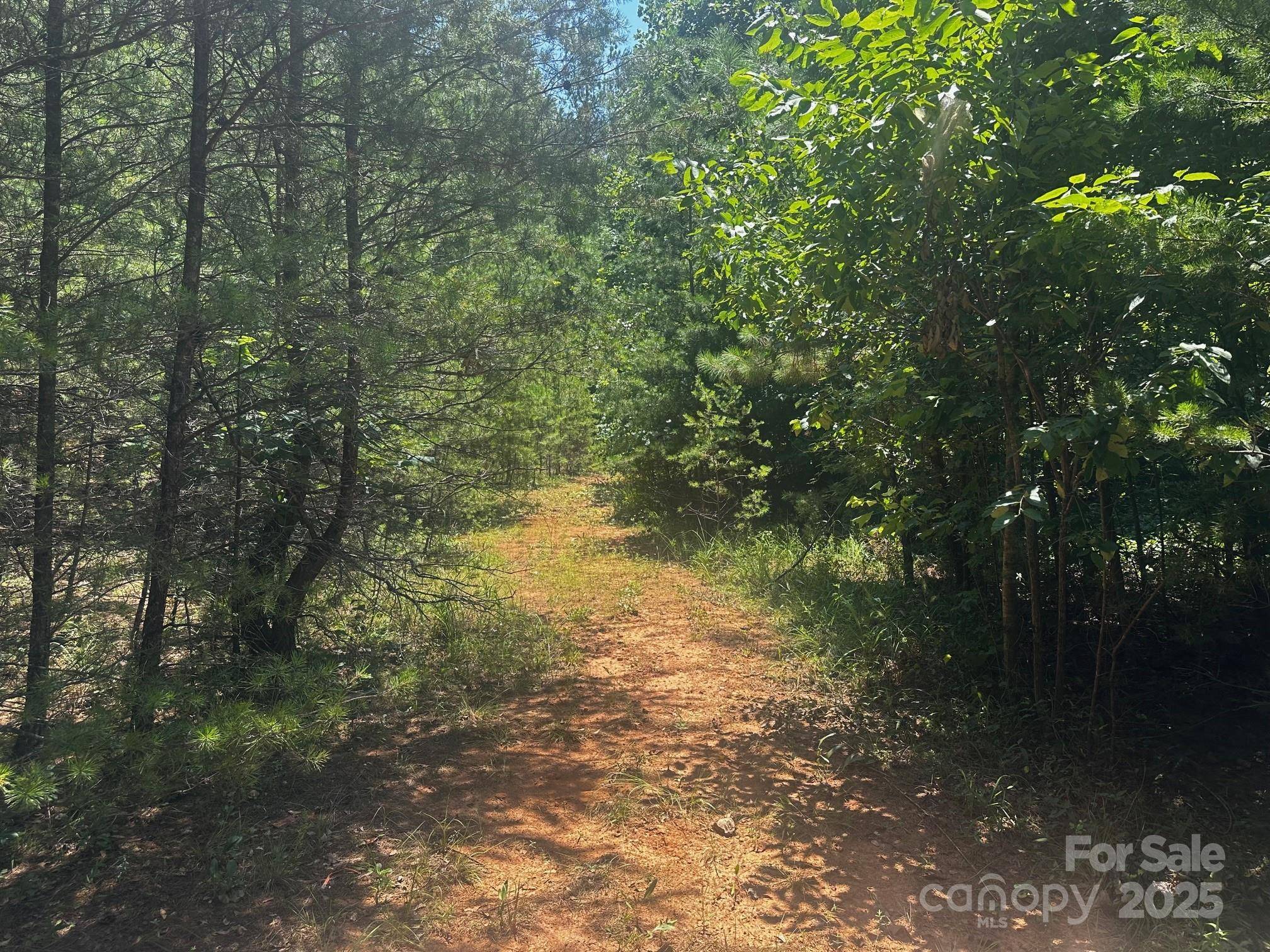 0000 Quail Hill DR, Rutherfordton, NC 28139