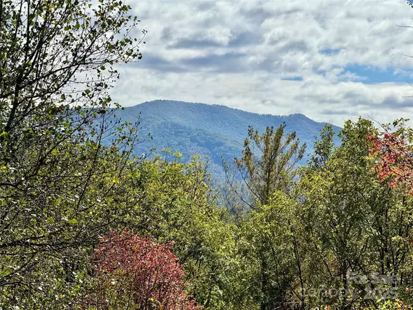 Asheville, NC 28805,212 Blue Ridge VIS