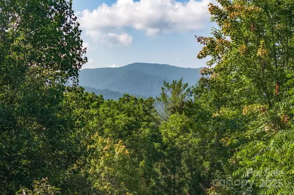 Asheville, NC 28805,212 Blue Ridge VIS