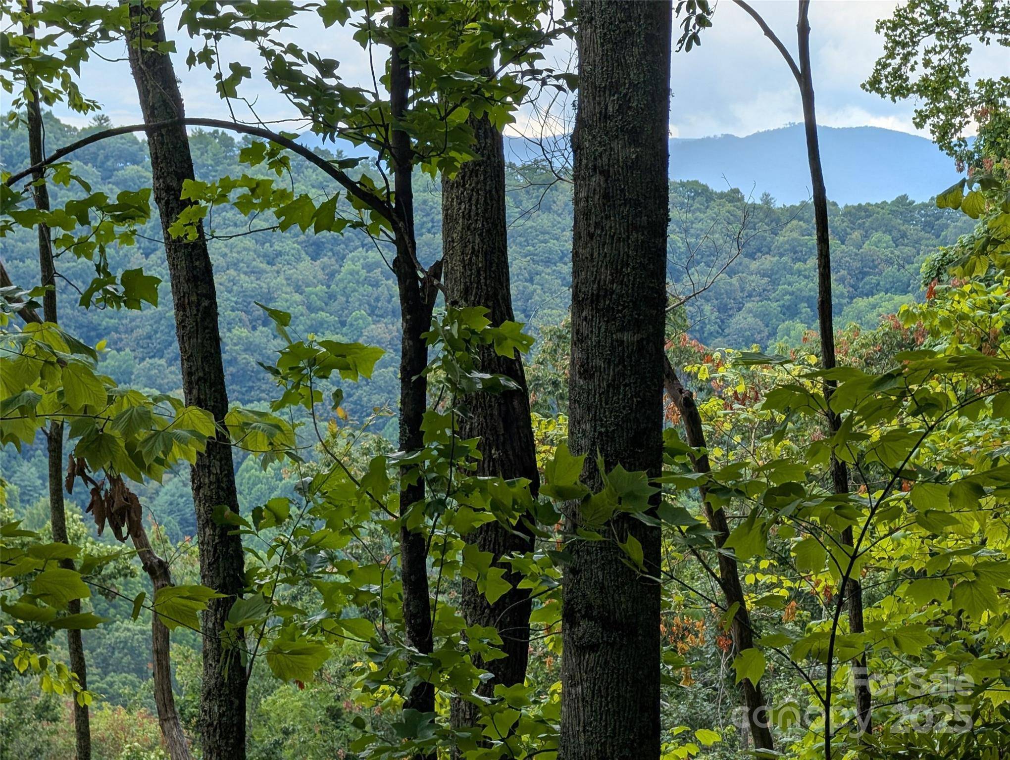 Mars Hill, NC 28754,99999 Running Deer LN #25