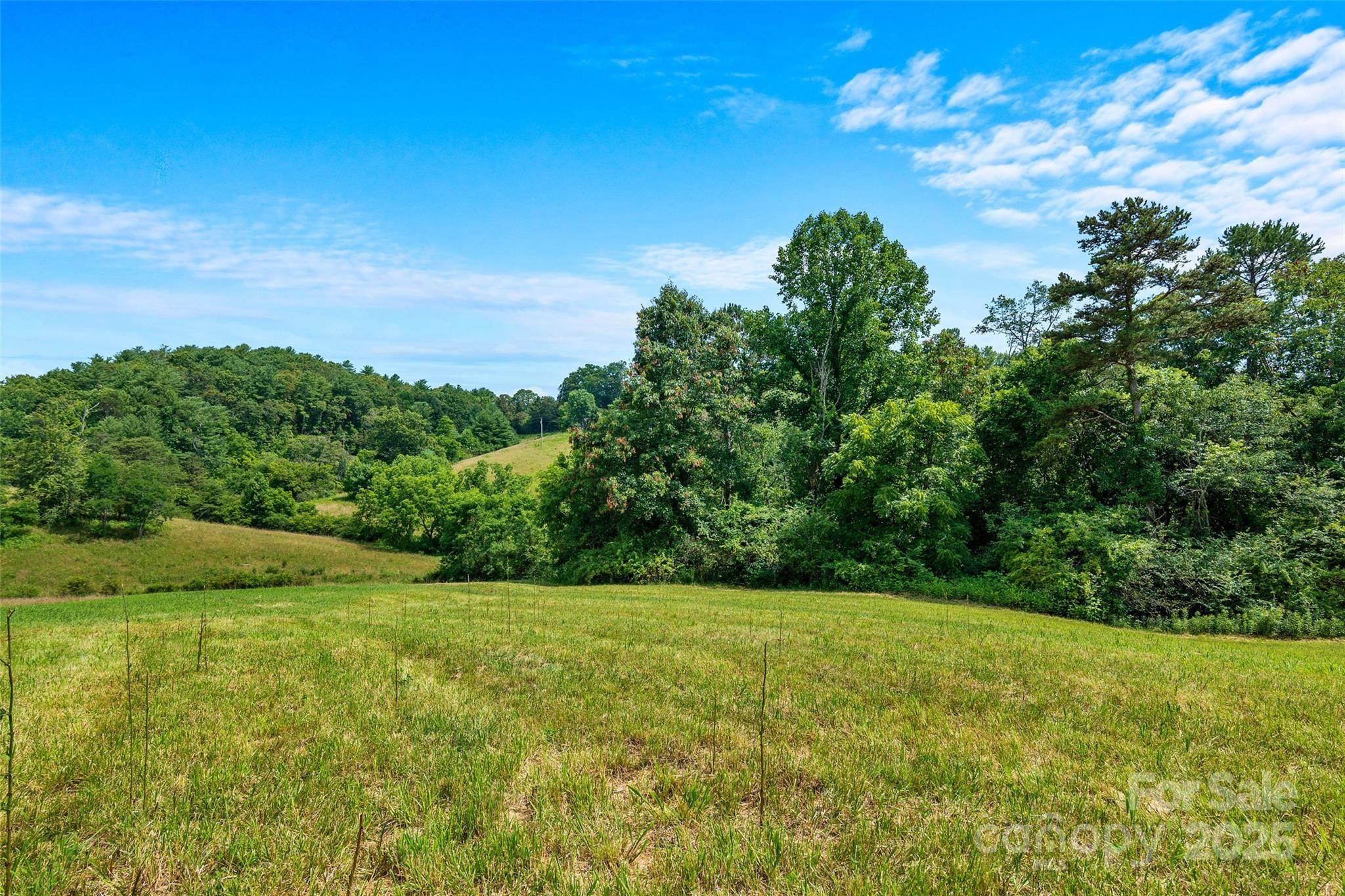 Alexander, NC 28701,113 Grandview Ridge DR