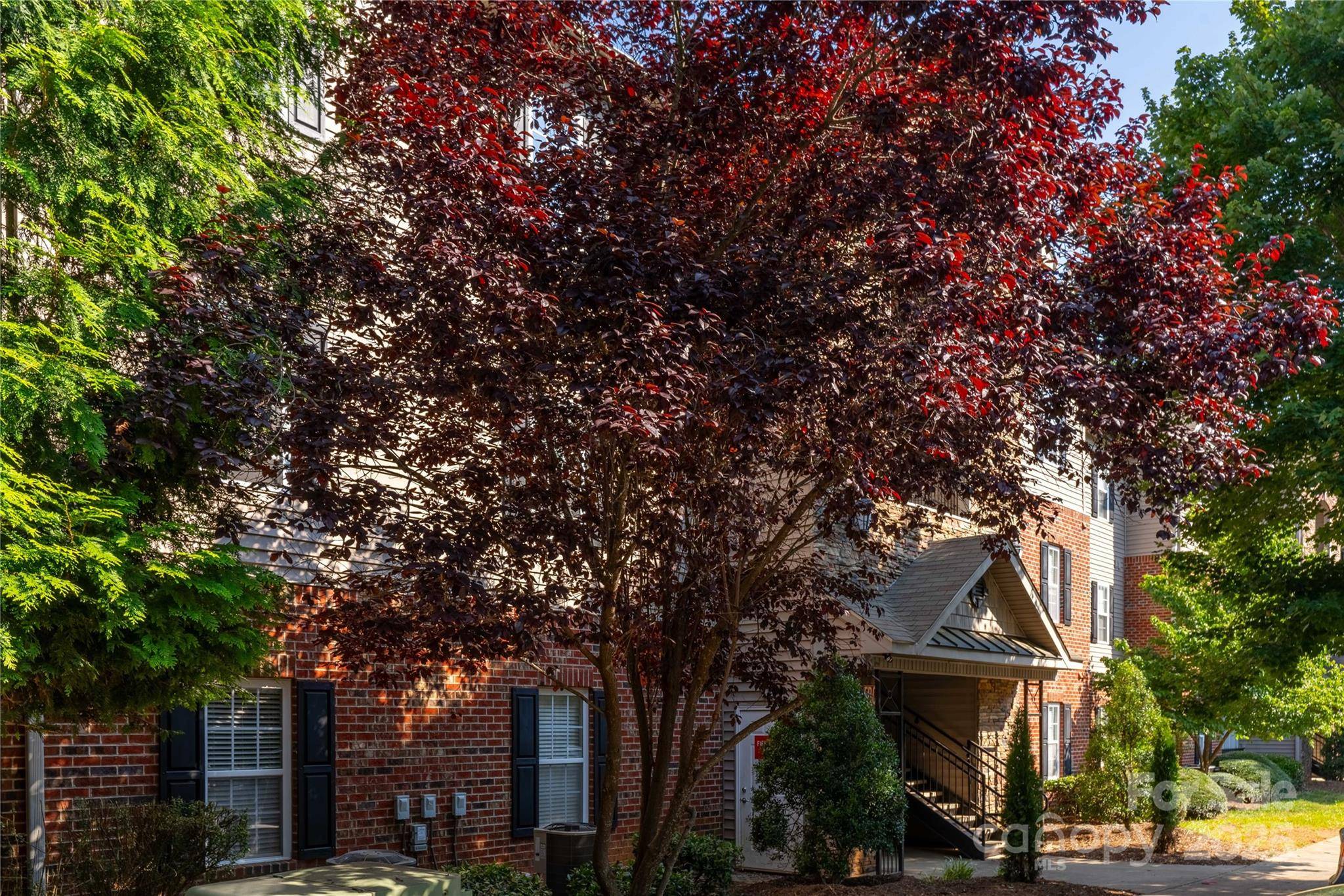 Asheville, NC 28803,332 Appeldoorn CIR
