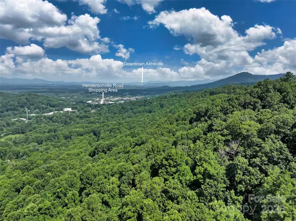 Asheville, NC 28803,111 High Top LN #111