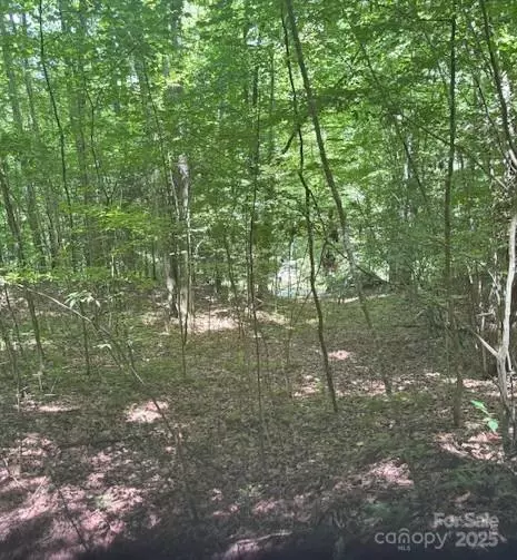 Franklin, NC 28734,00 Macs Mountain Retreat LN