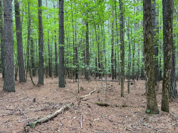 Connelly Springs, NC 28612,2651 E Paradise Harbor DR #275