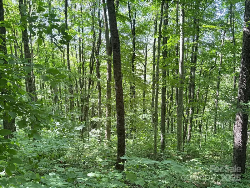 00 Slippery Rock RD #306 & 307, Waynesville, NC 28785