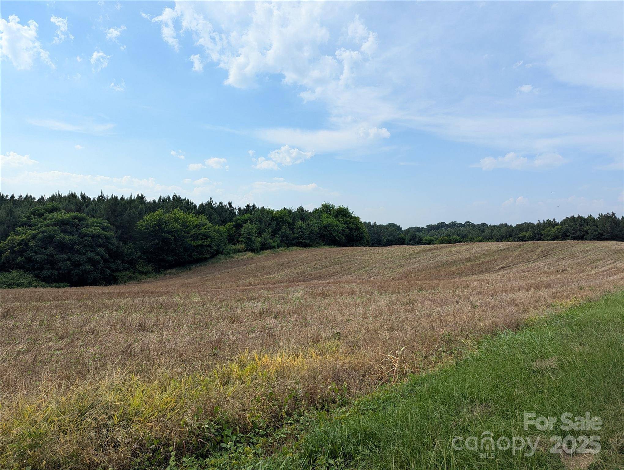 Polkton, NC 28135,1455 Blonnie Ross RD