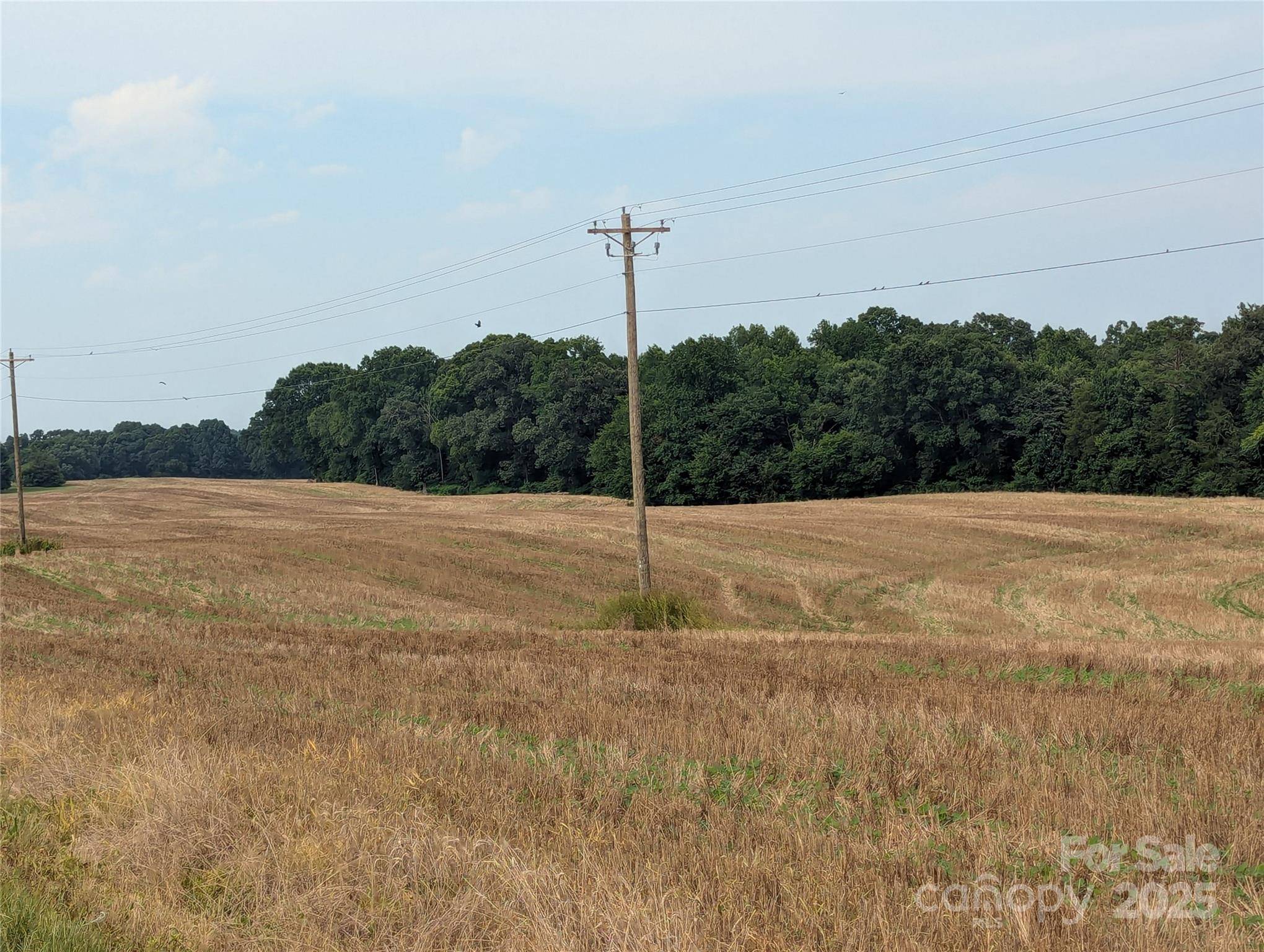Polkton, NC 28135,1455 Blonnie Ross RD