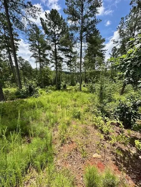 Connelly Springs, NC 28612,2120 Princeton Mountain None #59