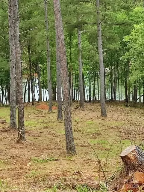 Connelly Springs, NC 28612,2120 Princeton Mountain None #59