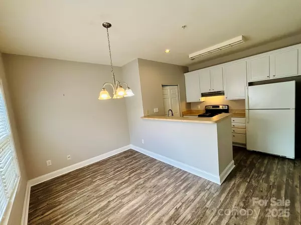 Davidson, NC 28036,917 Shearer ST #15