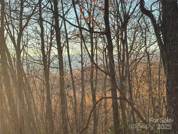 Hendersonville, NC 28739,215 Crossvine TRL #11