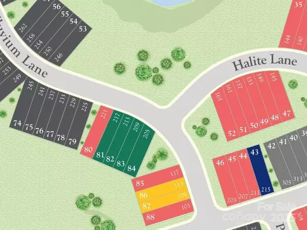 Waxhaw, NC 28173,213 Alluvium LN
