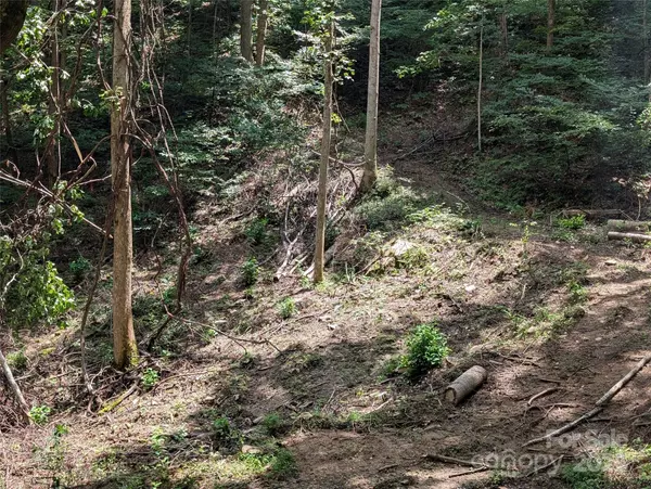 99999 Running Deer LN #73, Mars Hill, NC 28754