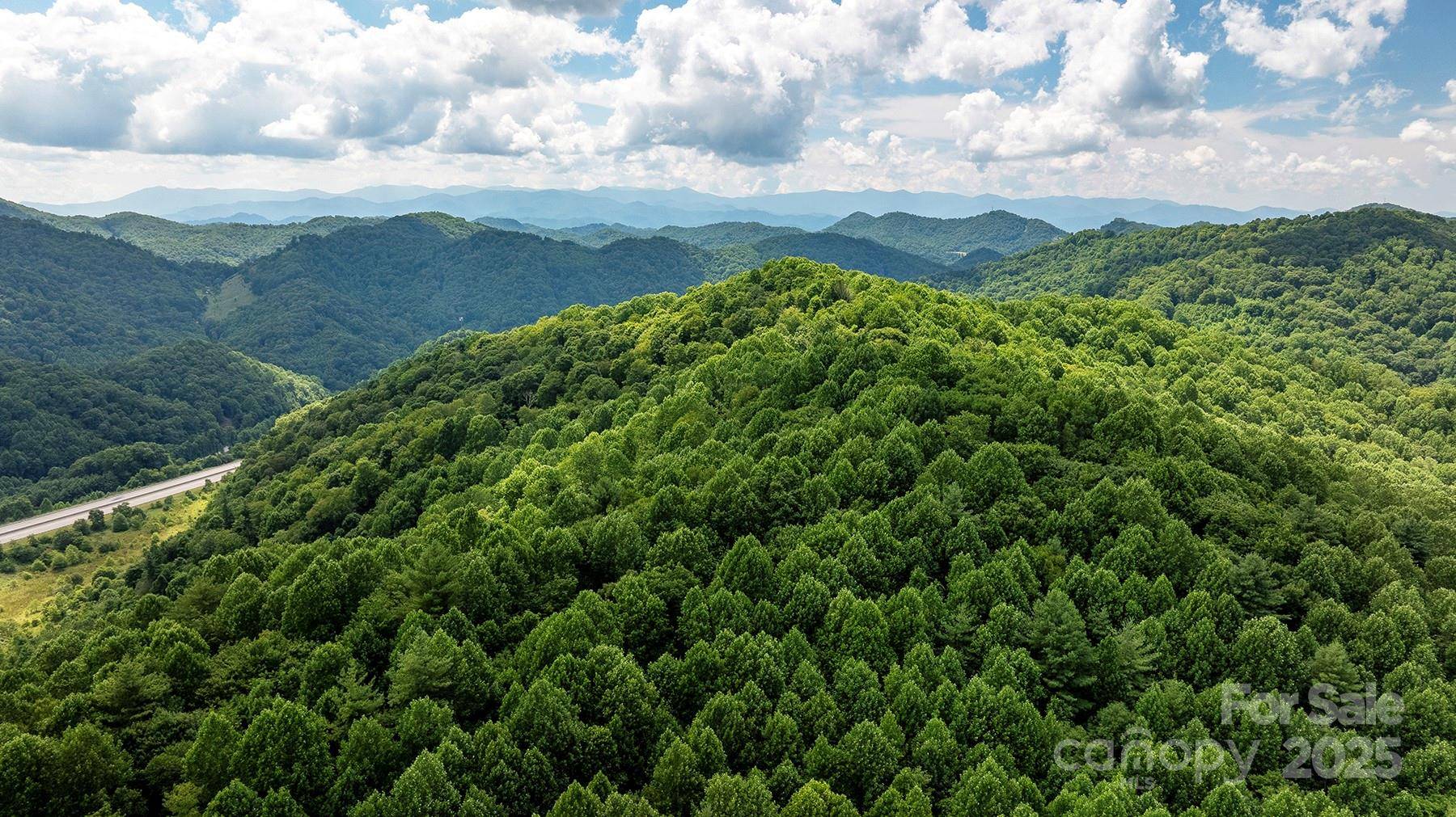 Mars Hill, NC 28754,1710 Roaring Fork RD