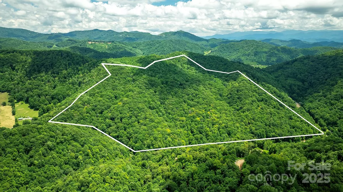 Mars Hill, NC 28754,1710 Roaring Fork RD