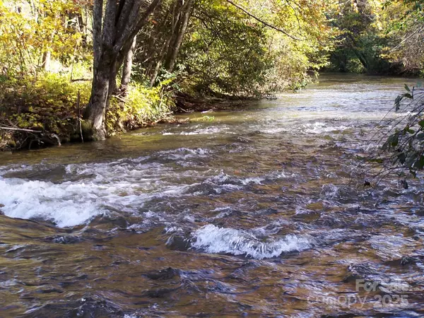 Zirconia, NC 28773,0 Mountain River PL