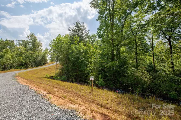 Hendersonville, NC 28739,Lot # 3 Masterpiece View DR #3