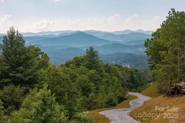 Hendersonville, NC 28739,Lot # 5 Masterpiece View DR #5