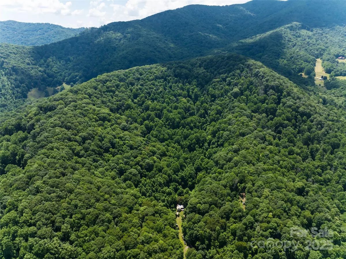 Burnsville, NC 28714,141 Locust Ramp DR