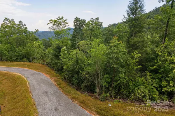 Hendersonville, NC 28739,Lot # 7 Masterpiece View DR