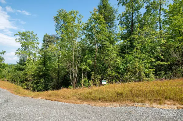 Hendersonville, NC 28739,Lot # 7 Masterpiece View DR