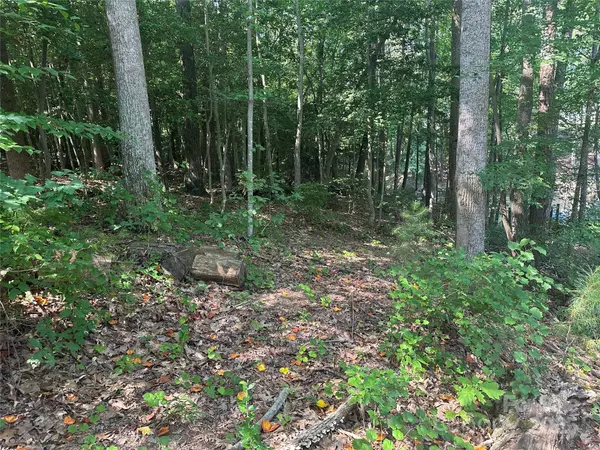Denver, NC 28037,00 Rivendell RD