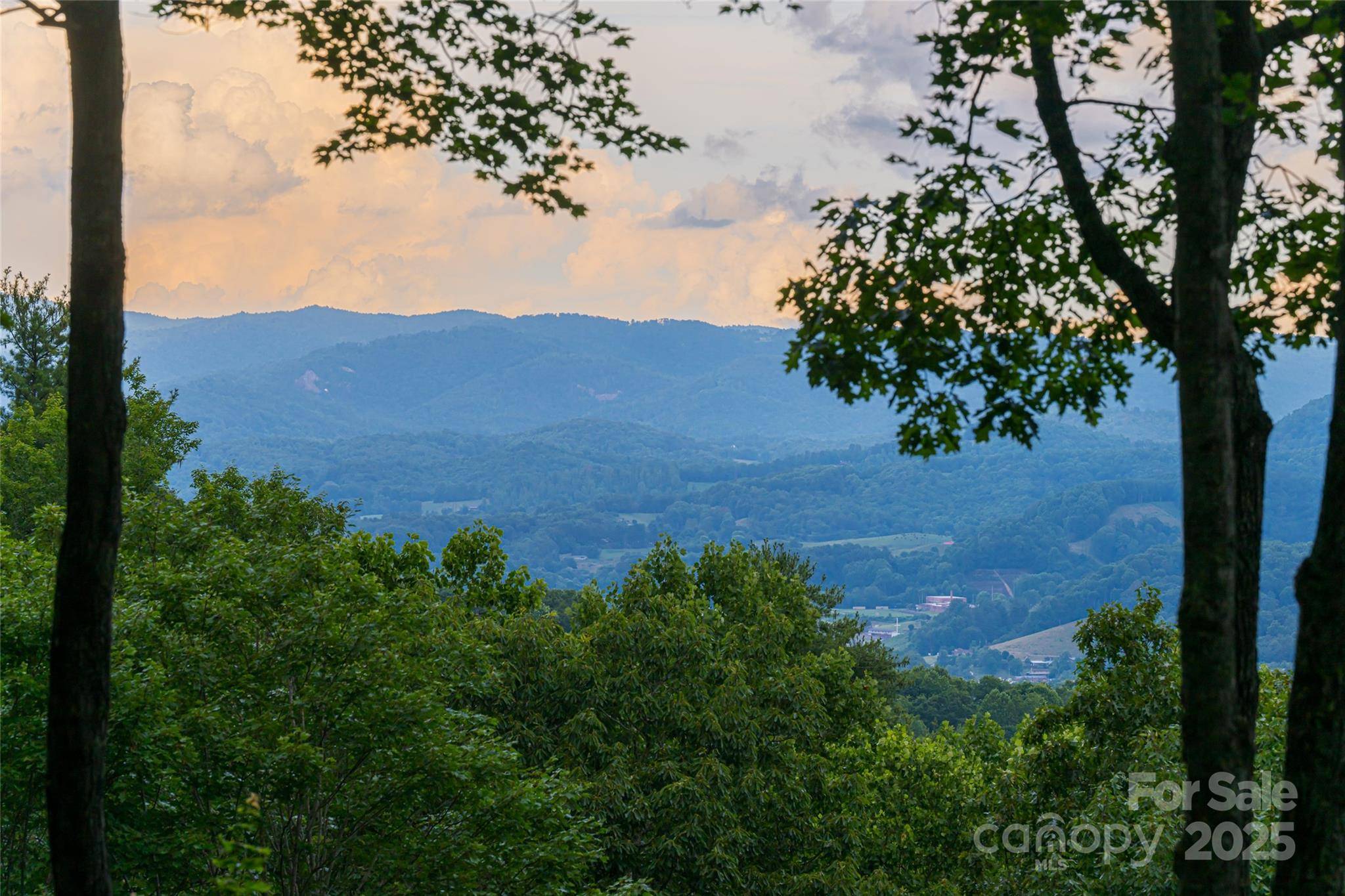 Burnsville, NC 28714,163 Tweetys Knoll Knoll
