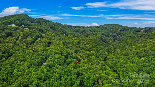 Maggie Valley, NC 28751,1933 N Laurel Ridge RD N