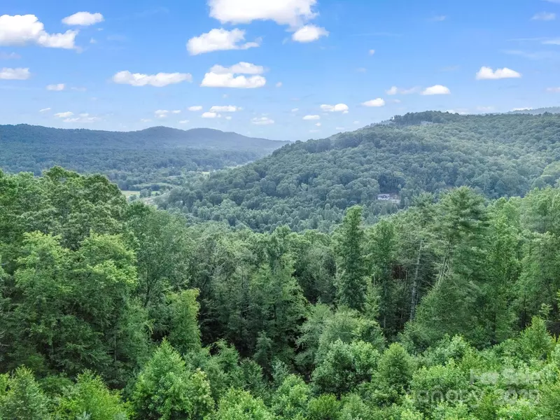 TBD Davenport Hills RD, Hendersonville, NC 28739