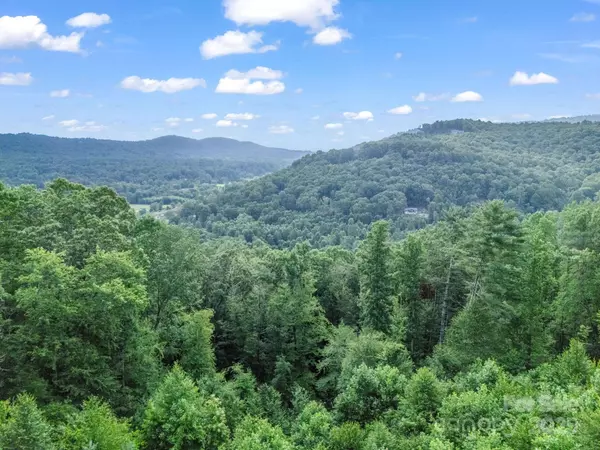 TBD Davenport Hills RD, Hendersonville, NC 28739