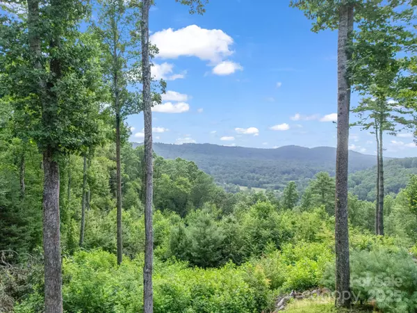 Hendersonville, NC 28739,TBD Davenport Hills RD
