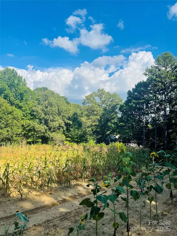 Charlotte, NC 28214,2639 Wildlife RD