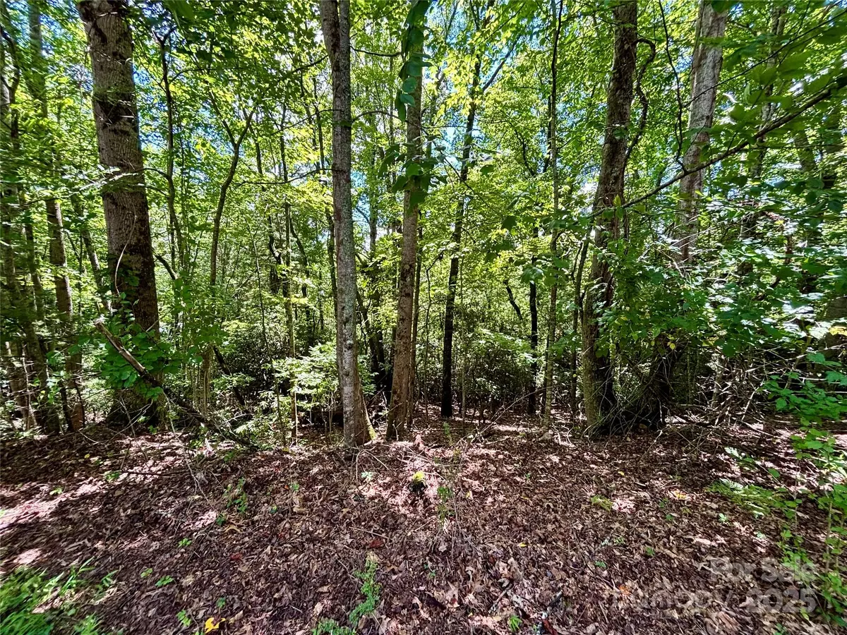 Hendersonville, NC 28792,0 Laurel Forest DR