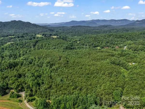 Lake Lure, NC 28746,0000 Bills Creek RD