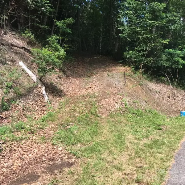 Maggie Valley, NC 28751,Lot 619 Yanu TRL #619