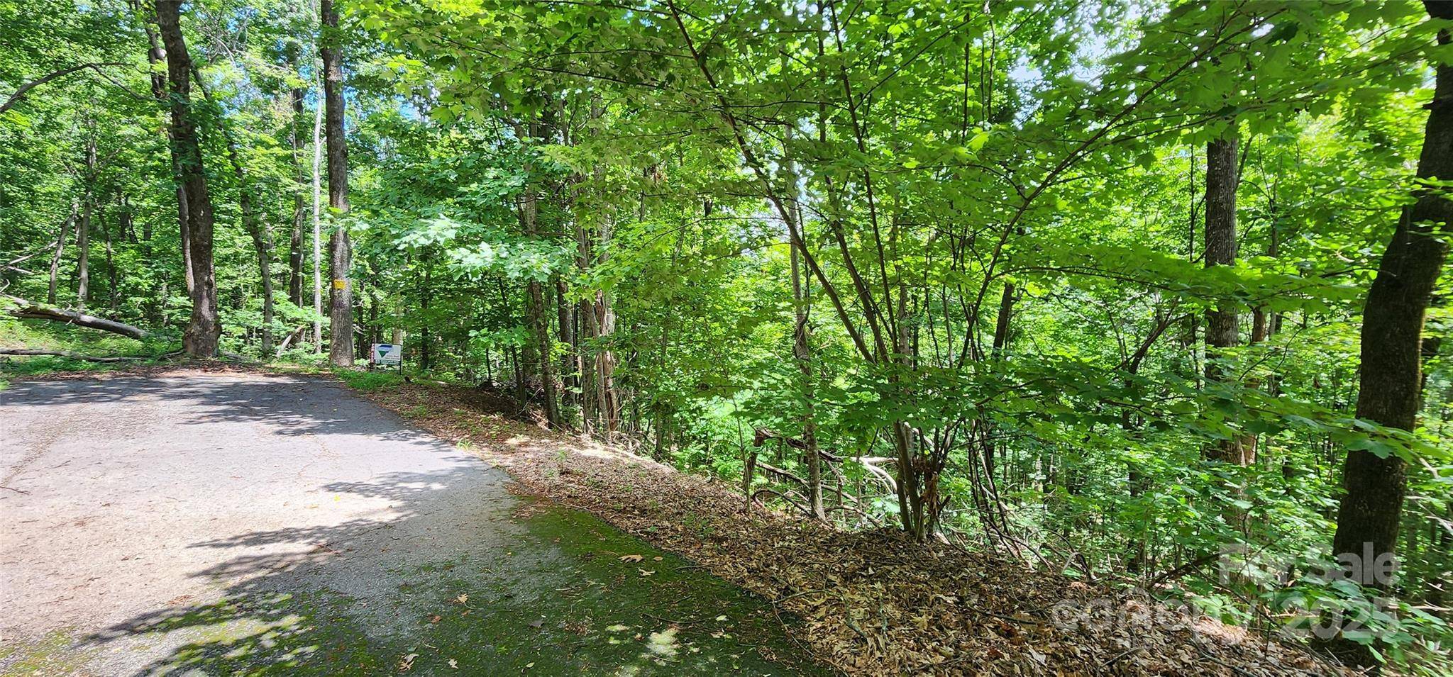 Columbus, NC 28722,Lot 34 White Oak Mountain RD