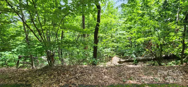 Columbus, NC 28722,Lot 34 White Oak Mountain RD