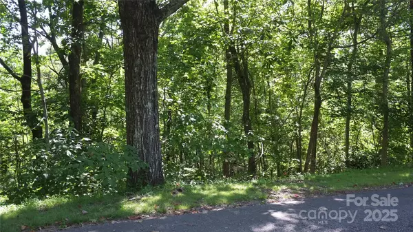 Columbus, NC 28722,0 Sunset Ridge DR #Lot#11