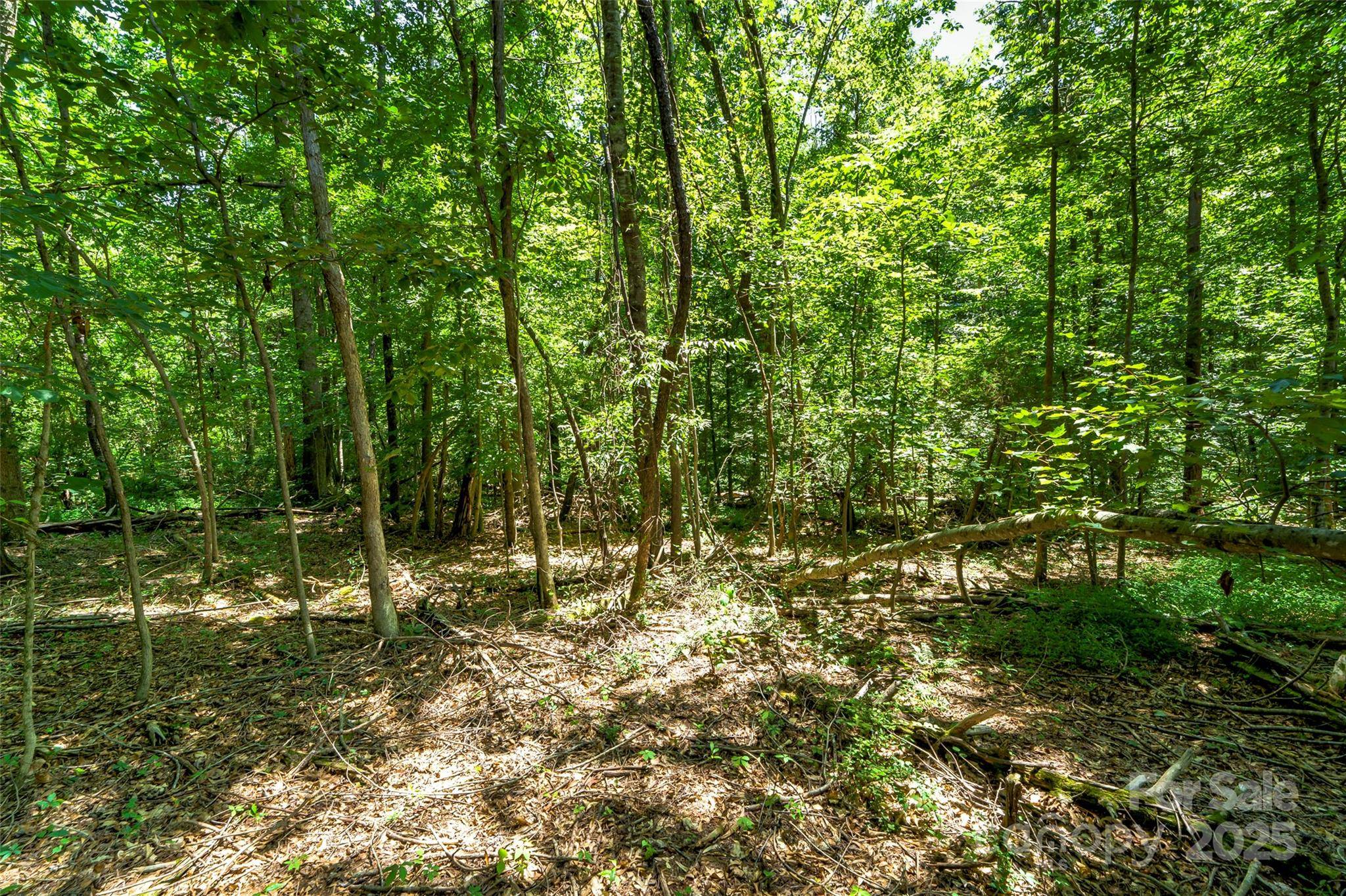 Morganton, NC 28655,0 Setzer DR